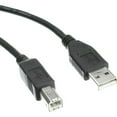 thumbnail image 2 of Axiom USB 2.0 Type-A to Type-B Cable M/M 10ft USB2ABMM10-AX, 2 of 4