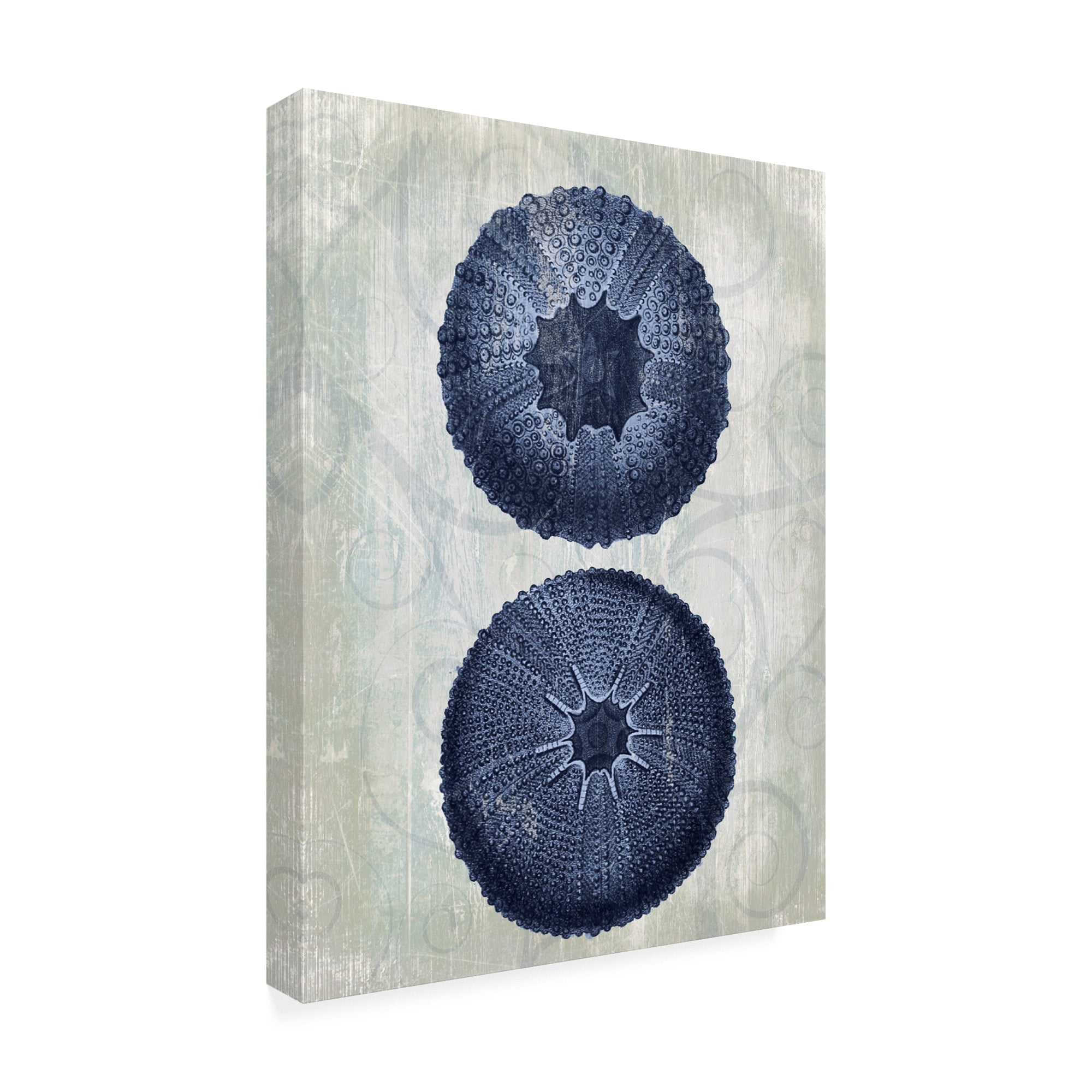 Trademark Fine Art 'Indigo Blue Sea Urchins b' Canvas Art by Fab Funky