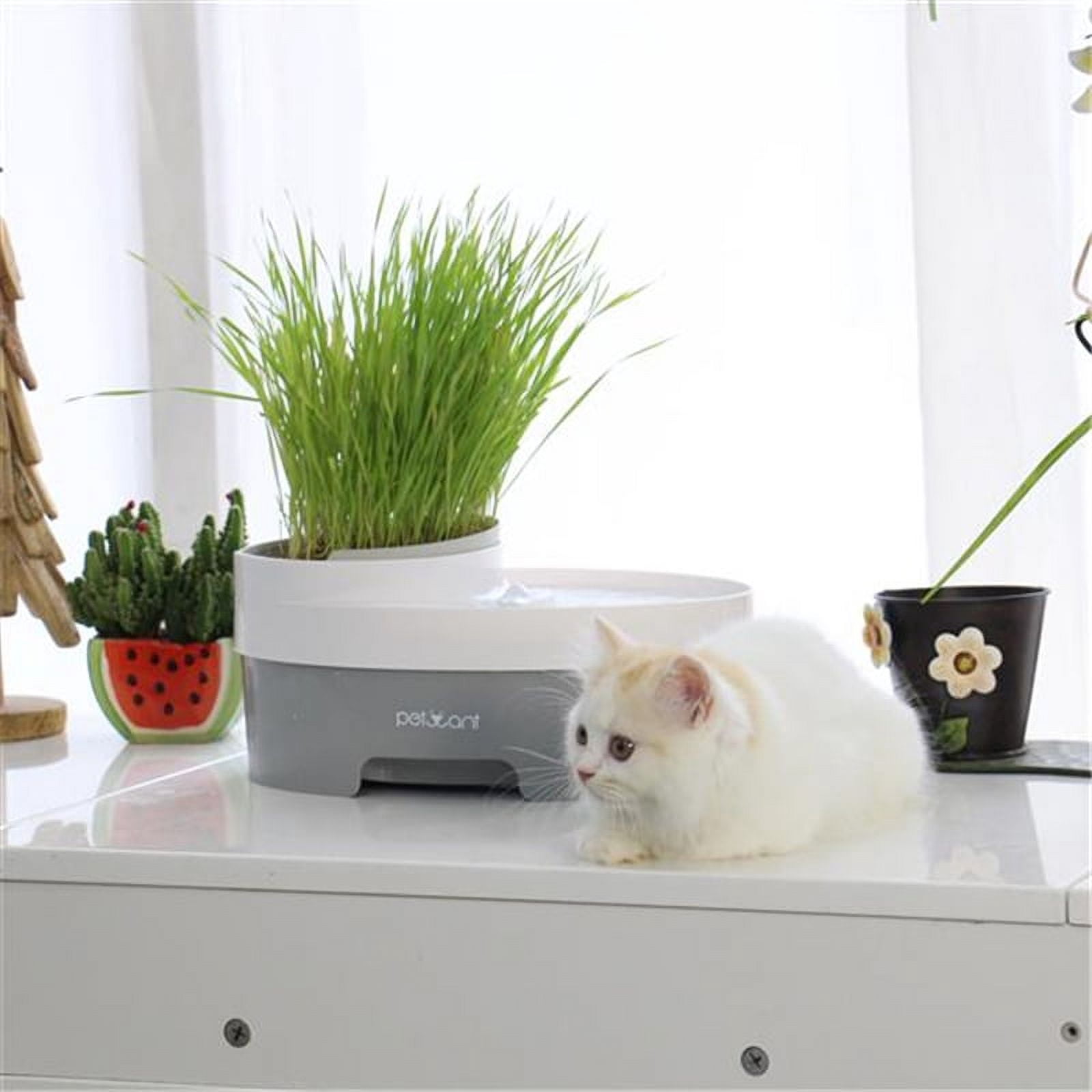 Myriann 105Oz/3.0L Automatic Cat Water Fountain Dog Water Dispenser with Food Bowl for Cats DogsGreat for Pet Owners with Busy Schedules