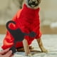 thumbnail image 3 of BRIGHTFUFU Paquete de perchas para ropa, 10 Uds., para perros, gatos, mascotas, talla S, 3 of 7