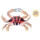 thumbnail image 1 of Modelo De Animal Marino De Cangrejo, Figura De Modelo De Cangrejo Educativo Para Regalos De Niños ANGGREK PL127-1303, 1 of 8