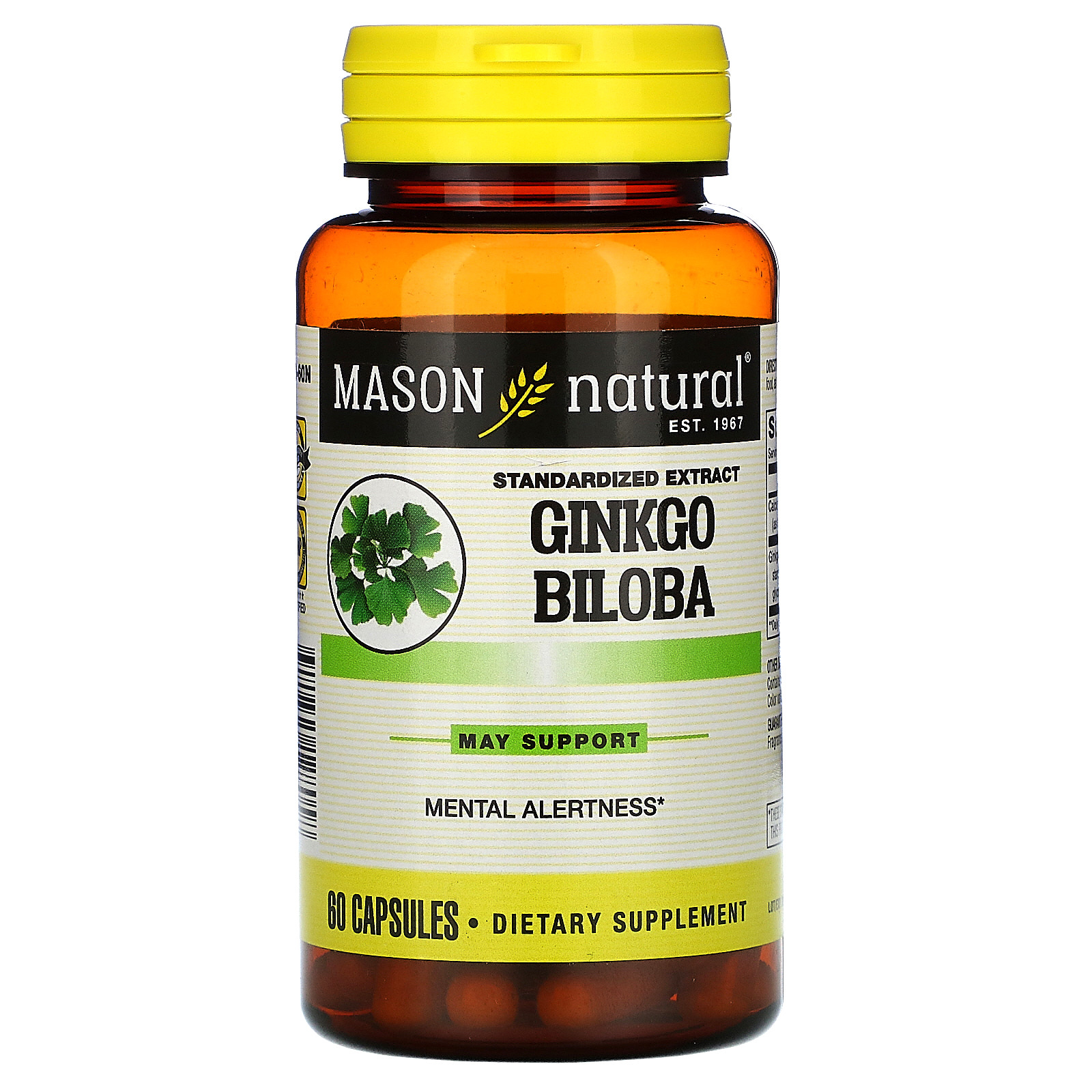 Mason Vitamins Mason Natural Ginkgo Biloba, 60 ea