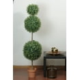 thumbnail image 4 of Northlight 5' Unlit Artificial Potted Two-Tone Boxwood Triple Ball Topiary Tree, 4 of 4