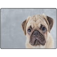 thumbnail image 2 of GZHJMY Cute Pug Puppy Dog Area Rug Living Room Rugs - 5'3" x4 Abstract Large Soft Indoor Washable Rug Low Pile Carpet for Bedroom Dining Room Office Carpet Runner, 2 of 6