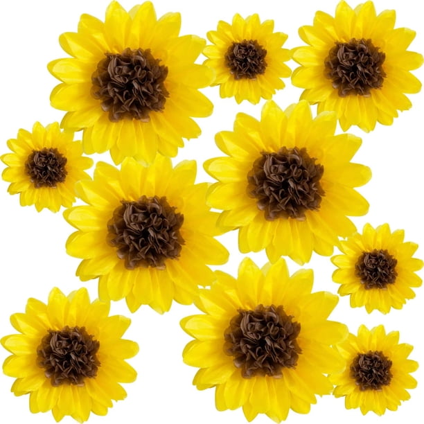 Ansomo Pompones De Papel De Seda De Girasol D?Cor Flores Amarillas Para Colgar En La Pared, Decoraciones Para Fiestas, Cumpleaños, Novia, Baby Shower, Boda, Aula, 12.0 In, 8.0 In, Paquete De 10
