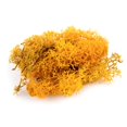thumbnail image 1 of Liquen Model Foliage War World Scenics, naranja y musgo, 100 g, 1 of 4