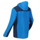 thumbnail image 5 of Regatta - Chaqueta Impermeable Birchdale Colores Sólidos para Hombre (Azul Imperial, Vaquero Luz de Luna) Regatta UTRG7542_imperialbluemoonlightdenim, 5 of 5