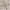Taupe, variant on HOMERRY 72"x72" Shower Curtain Water Repellent Soft Microfiber Fabric Decorative Shower Curtain for Bathroom, Gray