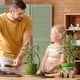thumbnail image 5 of Estacas de fibra de coco para plantas trepadoras, juego de 2, 30 cm, postes cubiertos de musgo natural para soporte de enredaderas de jardín y Monstera, 5 of 5