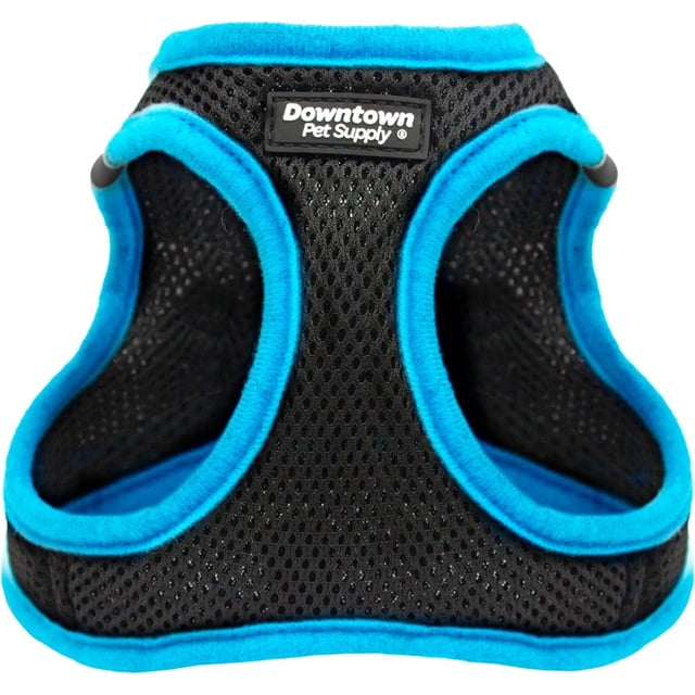 GFDYREE Step in Dog Harness for Small Dogs No Pull, Small, Black w/Cobalt Blue Trim - Adjustable Harness with Padded Mesh Fabric and Reflective Trim - Buckle Strap Harness for Dogs