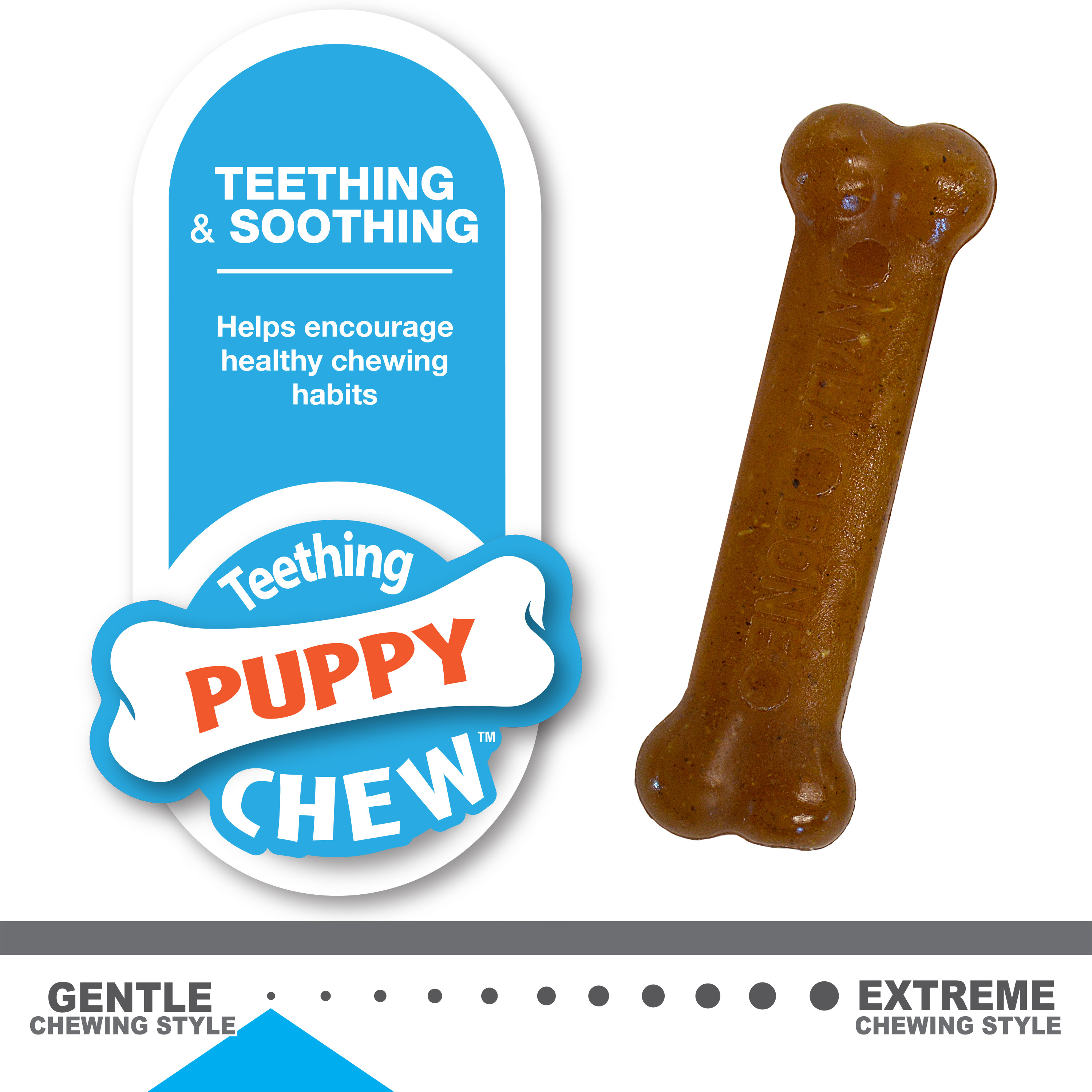 Nylabone Classic Puppy Chew Flavored Durable Dog Chew Toy Chicken & Peanut Butter Bone X-Small/Petite - Up to 15 lbs. (2 Count) - image 10 of 11