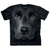 Mountain Corp 1032555 Black Lab Face XXX Large T-Shirt