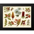 thumbnail image 2 of Meyers 18x15 Black Modern Framed Museum Art Print Titled - Tropical Botany Chart I, 2 of 5