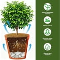 thumbnail image 2 of Osfvolr 4 Pack 15.7 Inch Coconut Fiber Mulch Ring-for Moisture Retention, Indoor Outdoor Trees and Landscaping, 2 of 7