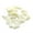 White, variant on Deyuer 20Pcs Pet Dog Cat Paw Claw Anti-Scratch Soft Silicone Nail Caps Protective Covers Sheath for Home