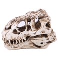 thumbnail image 1 of maskred Halloween Resin Dinosaur Head Skeleton Model Simulated Animal Skeleton Home Office Decor Craft, 1 of 6