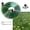 25FT, variant on 2026 Reinforced Sprinkler Hose & Soaker Hose for Yard 50/ 100FT Flat Garden Hose with Holes Stakes High Pressure Spray
