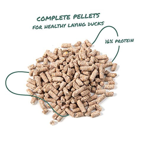 Manna Pro 1030543 Formulated with Probiotics to Support Healthy Digestion | 25 Pounds Duck Layer Pellet, 25 lbs