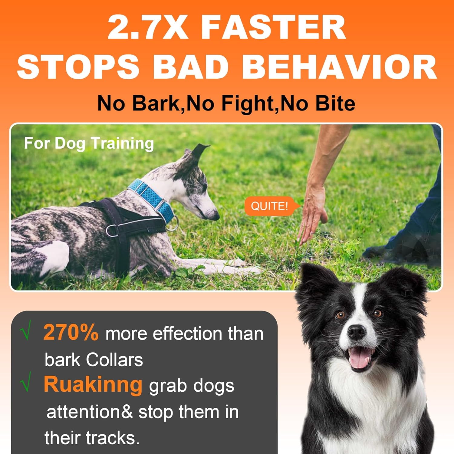 Demand Barking Dog Barking For Attention Dog Behavior How To