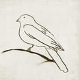 thumbnail image 3 of Reeves, Tom 20x20 Black Modern Framed Museum Art Print Titled - Bird I, 3 of 5