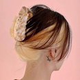 thumbnail image 2 of Nouvelle Pince Attrape-Chat à l'Acide Acétique Simple et Adorable Griffe pour Cheveux AccessOPCT Cheveux Chaud W6, 2 of 8