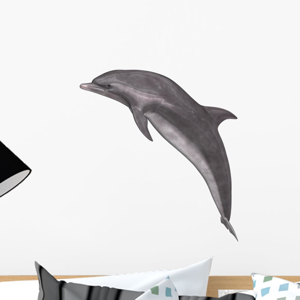 Dolphin Wall Decal by Wallmonkeys Peel and Stick Graphic (18 in H x 17