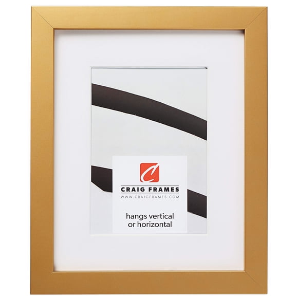Craig Frames Confetti, 11 x 14 Inch Modern Gold Picture Frame Matted to Display an 8 x 10 Inch Photo