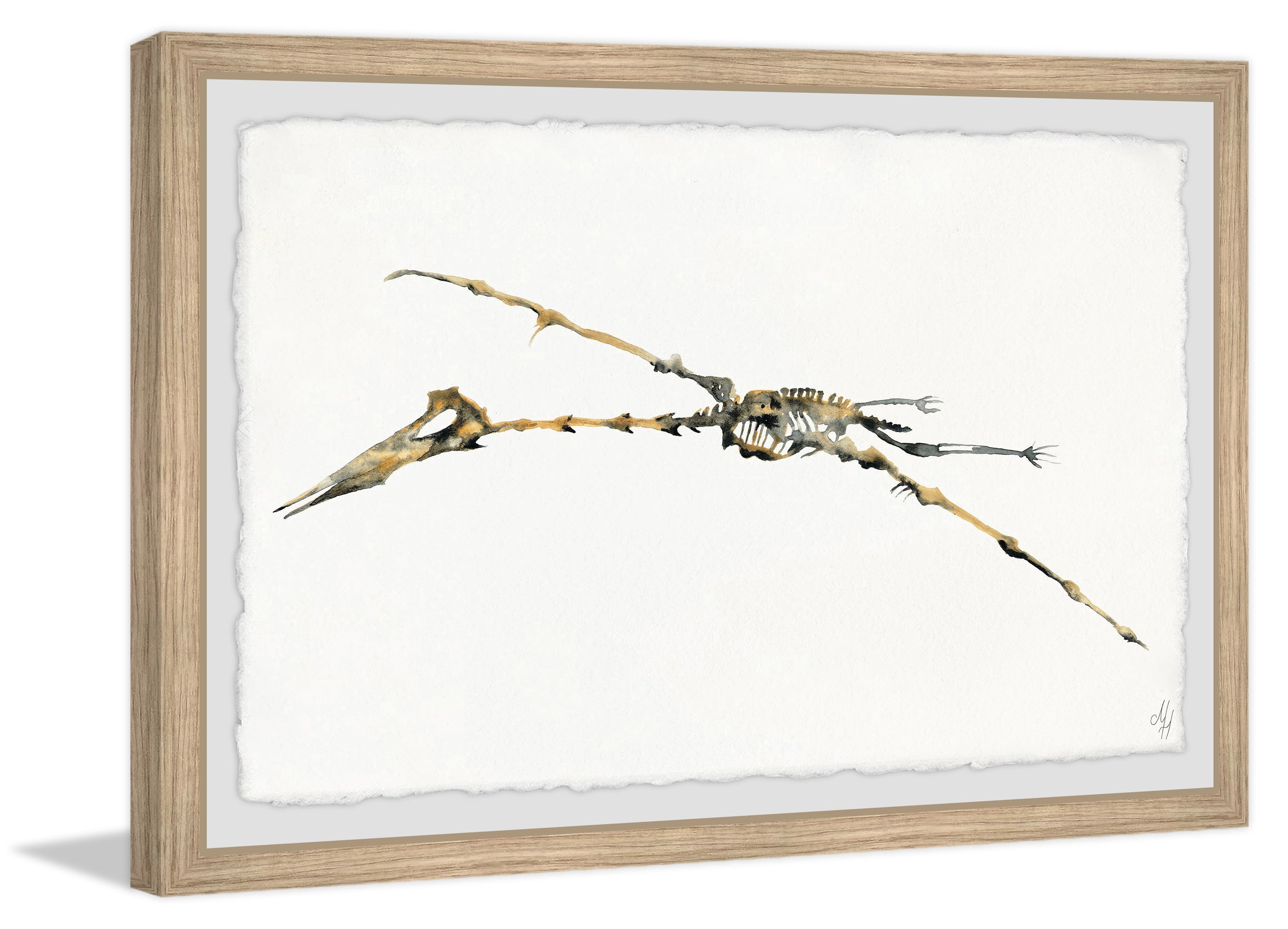 Marmont Hill Pterodactyl Skeleton Framed Wall Art