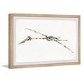 thumbnail image 2 of Marmont Hill Pterodactyl Skeleton Framed Wall Art, 2 of 6