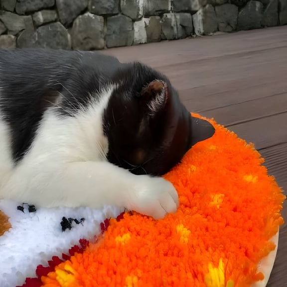 CCOCC Latch Hook Kits DIY Crochet Yarn Kits,Color Butterfly | Carpet Embroidery Hook Rug Kit Needlework Sets Cushion 50 × 38cm / 19.7 * 15.0 inches