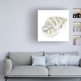 thumbnail image 3 of June Erica Vess 'Citron Shell Sketch I' Canvas Art, 3 of 3