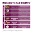 thumbnail image 4 of Host Defense MycoBotanicals Microbiome* Powder - 3.5 oz (33 Servings), 4 of 7