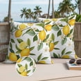 thumbnail image 2 of Yellow Lemon Outdoor Pillow Covers Pack of 2 Green Leaf White Flowers Farm Plant Summer Waterproof Throw Pillow Covers Decorative Cushion Cases for Patio Garden Tent Balcony Couch 26x26 inch, 2 of 9