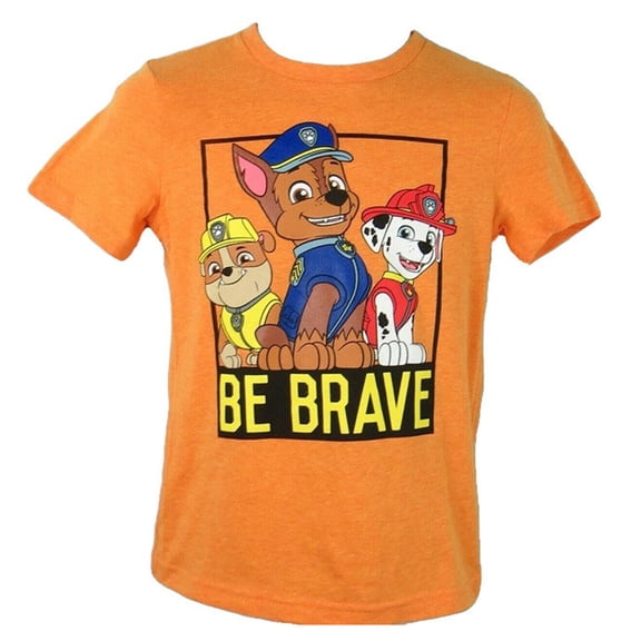 Nickelodeon Paw Patrol Be Brae Little Boy's T-Shirt - Small (4-5)