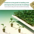thumbnail image 2 of HINTRMENT 8Pcs Planting Cubes for Soilless Cultivation and Gardening, 2 of 7