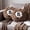 Cheetah, variant on 8 Ball Cheetah Pillow Round Plush, Cheetah