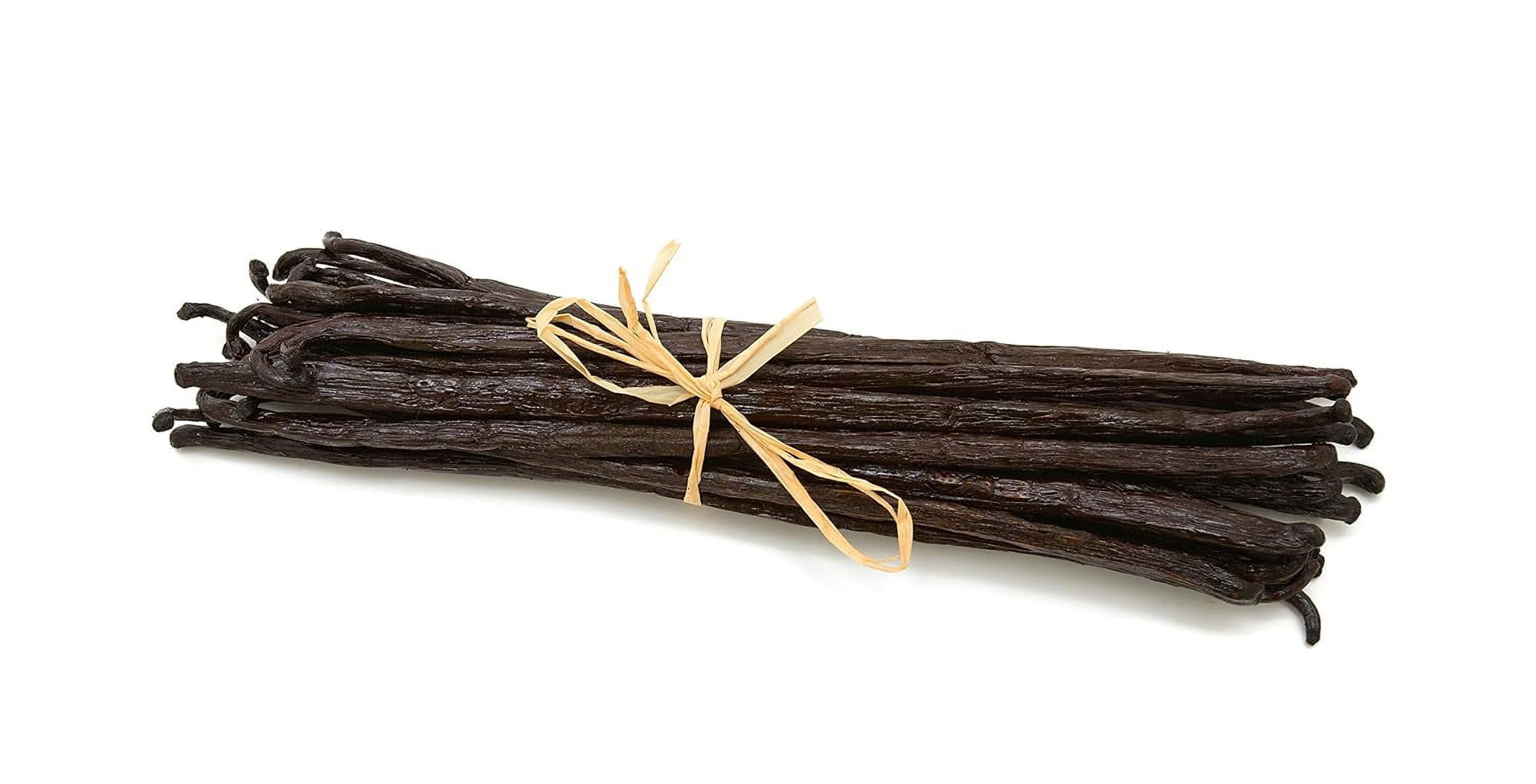 Homemade Vanilla Extract Kit | DIY | 1 Ounce of Premium Gourmet Madagascar Grade A Vanilla Beans 6-7 inches (Appoximately 8-10 Beans) with 8.5 oz Swing Top Glass Bottle | For Cooking and Baking