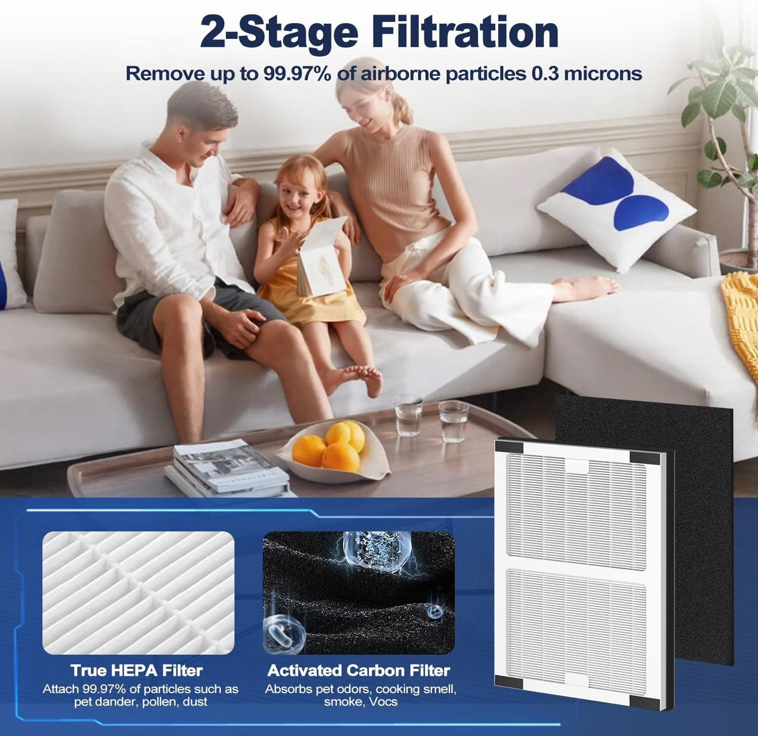 Replacement Filters for IAF-H-100A, AC-2119, FAP-C01-A, IAP-10-100, IAPC-40-140 Air Purifiers - Includes 2 HEPA Filters and 4 Activated Carbon Pre-Filters
