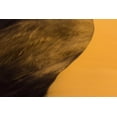 thumbnail image 2 of Young, Bill 32x23 White Modern Wood Framed Museum Art Print Titled - Namibia, Namib-Naukluft NP Blowing sand on dune, 2 of 4