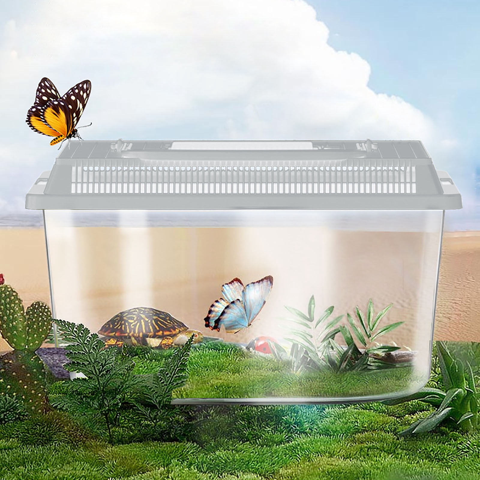 2026 Clearance! Portable Reptile Feeding Tank with Handle, Ventilated Faunarium for Geckos Crickets & Small Reptiles, Easy Clean Observation Habitat for Transport & Feeding