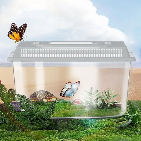 Portable Reptile Habitat Tank, Terrarium with Handle and Ventilation Holes, Ideal for Small Reptiles, Amphibians, and Fish, 9.1 x 5.1 x 6.1 Inch