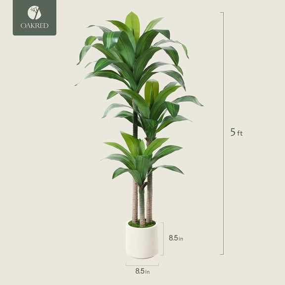 Artificial Dracaena Tree 5ft, Tall Fake Dracaena Plants with White Planter