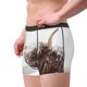 thumbnail image 2 of Balery Yak Calzoncillos bóxer para hombre, ropa interior de algodón suave y transpirable con cinturilla de nailon-Medium, 2 of 5