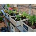 thumbnail image 6 of Palram - Canopia Hybrid 6' x 4' Polycarbonate/Aluminum Walk-In Greenhouse – Silver - with Roof Vent, 6 of 12