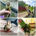 thumbnail image 4 of Sorrowso Bird Harness Leash for Small Parakeets Cockatiels Conures Macaws Parrots Birds, 4 of 19