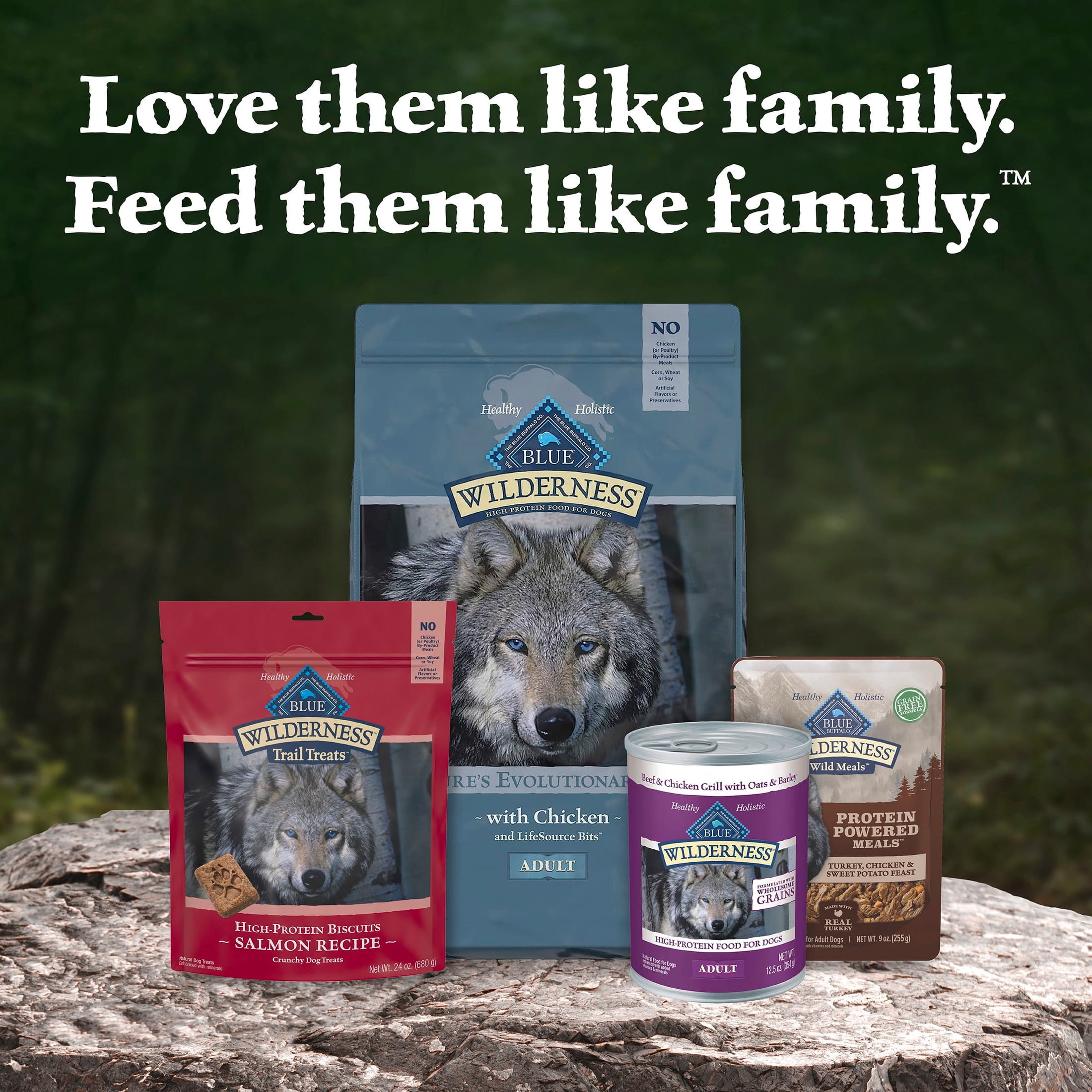 Blue Buffalo Wilderness Wild Meals, Turkey, High-Protein Adult Wet Dog Food, 9oz. Pouch