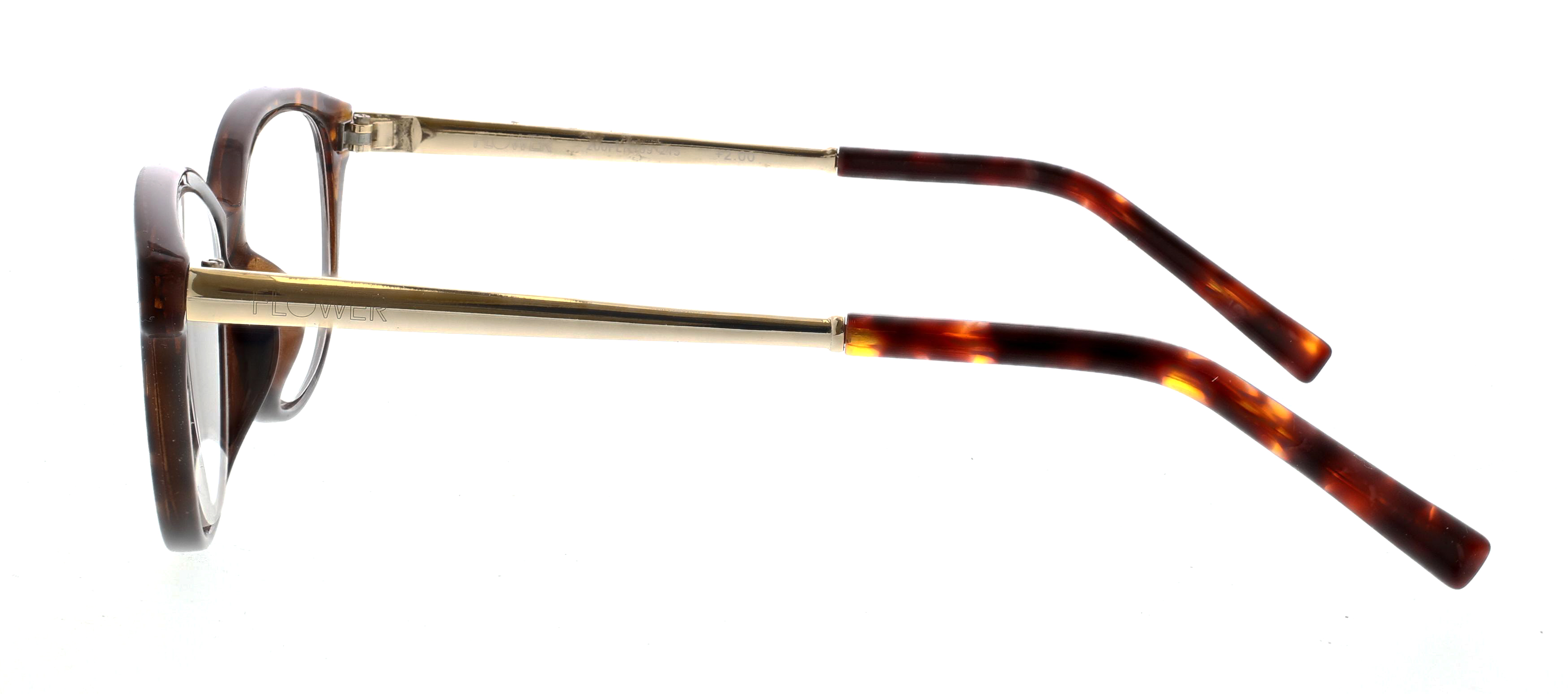 Flower by Drew Barrymore Mae Tortoise 2.50 Reading Glasses