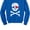 Blue, variant on Tstars - Pirate Skull & heart Valentine's Day Toddler/Kids Sweatshirt 4T Blue