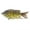 4#, variant on BE-TOOL Fishing Crankbait Lure Fishing Crankbait Fishing Bass Swimbaits for Bass Trout Musky Pike