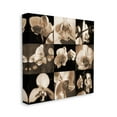 thumbnail image 3 of Sepia Orchid Varied Photography Botanical & Floral Photograph Gallery Wrapped Canvas Print Wall Art, 3 of 7